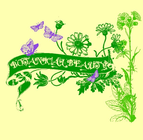 歐美花紋8445矢量CDR