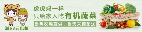 有機(jī)蔬菜banner