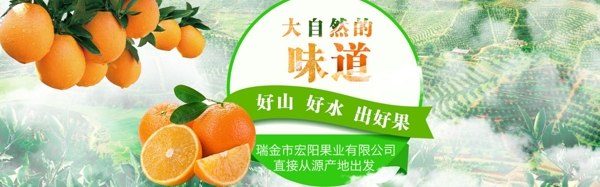 大山煙幕綠色背景臍橙海報