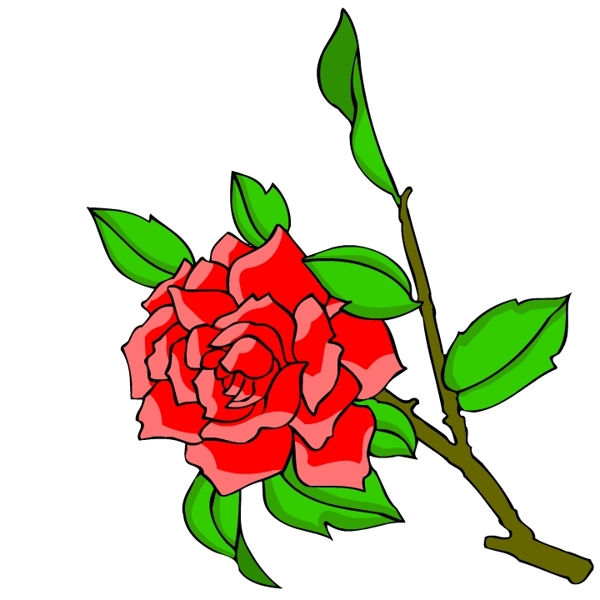 花卉古典插畫