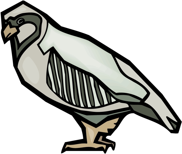 各種鳥類鳥動物矢量素材EPS格式0860