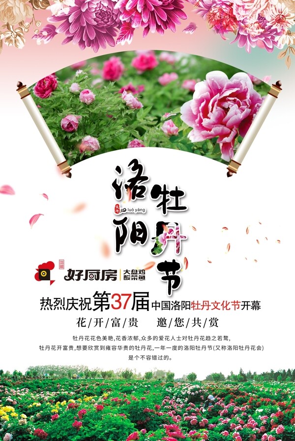 洛阳牡丹文化节海报