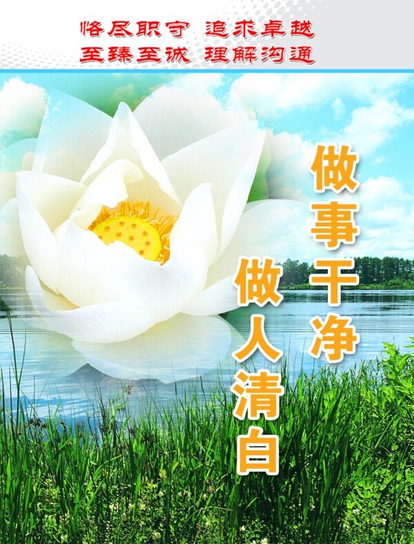 荷花