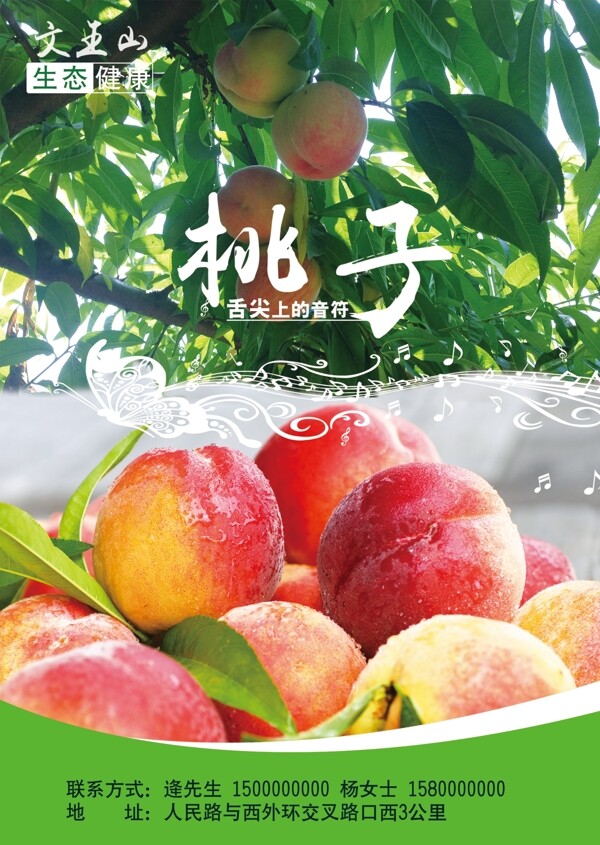 桃子單頁