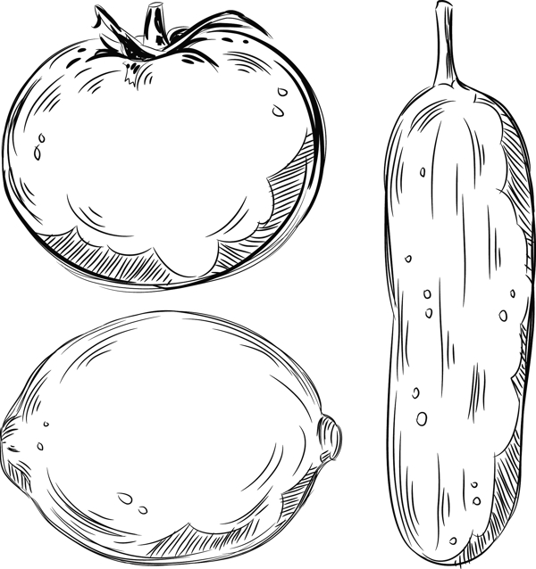 番茄与丝瓜素描