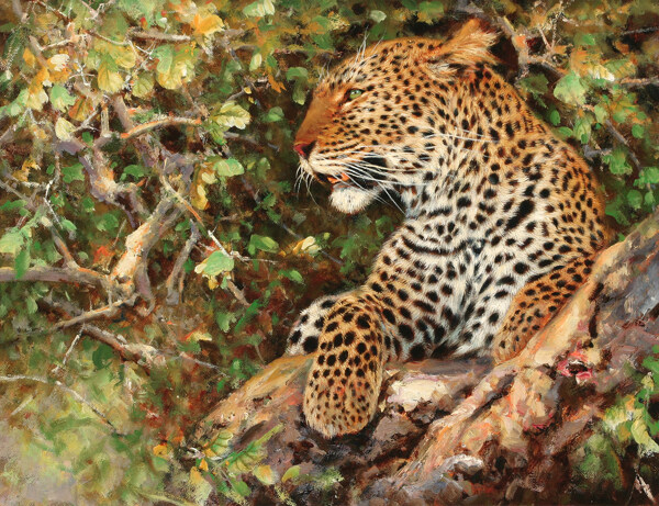 位圖插畫時尚插畫動物插畫藝術(shù)效果免費素材
