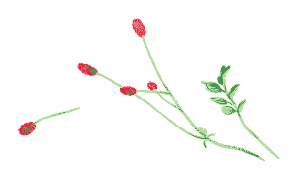 位圖成熟優(yōu)雅女裝T恤圖案毛衫印花優(yōu)雅植物免費(fèi)素材
