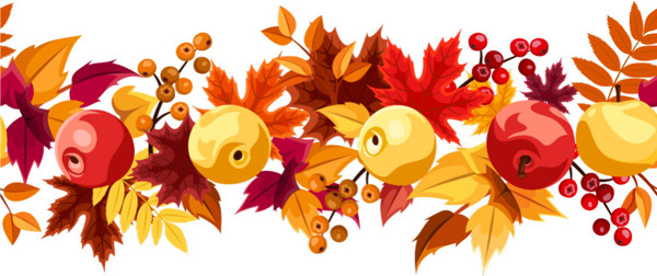 秋天的树叶和果实图案素材