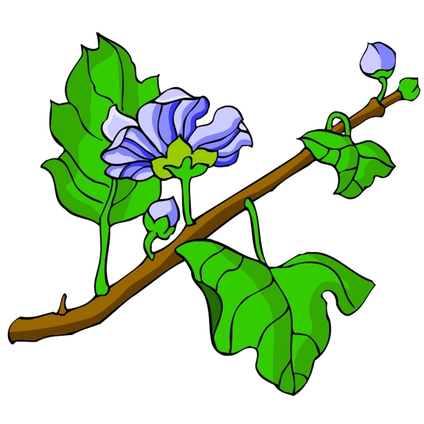 花卉古典插畫(huà)