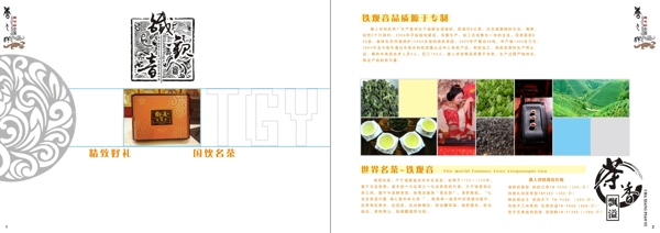 鐵觀音彩頁(yè)圖片