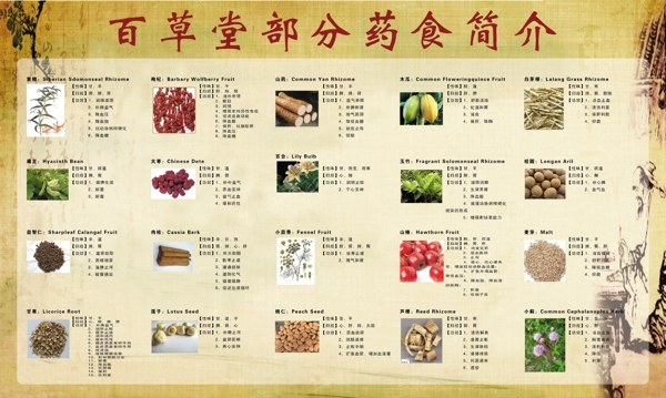 草藥簡介展板