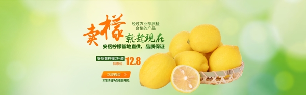 清新柠檬海报图片