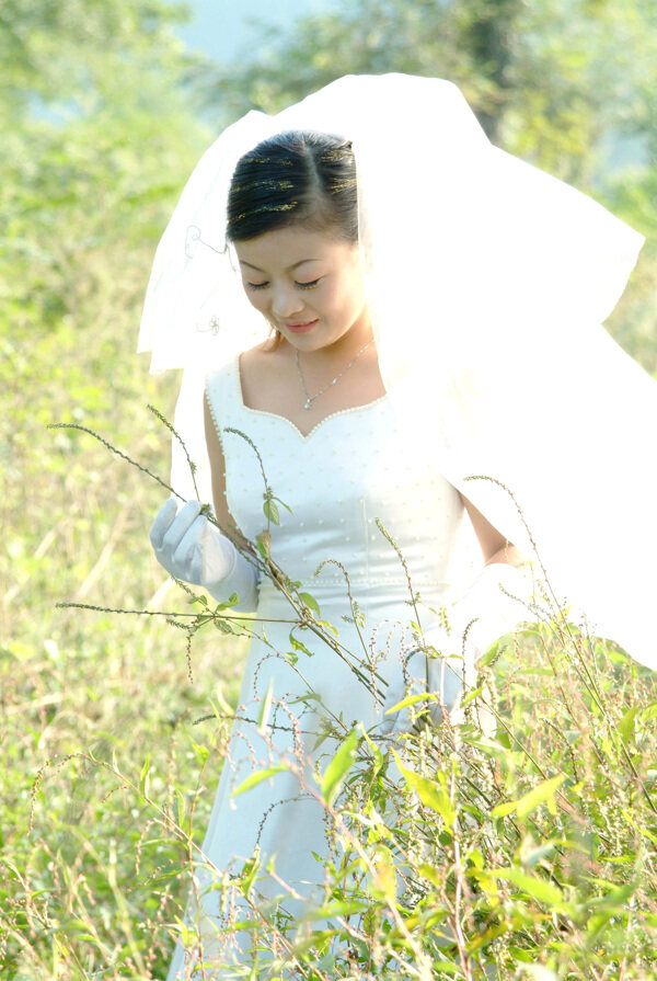 新娘圖片