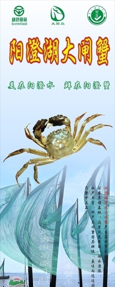 大閘蟹圖片