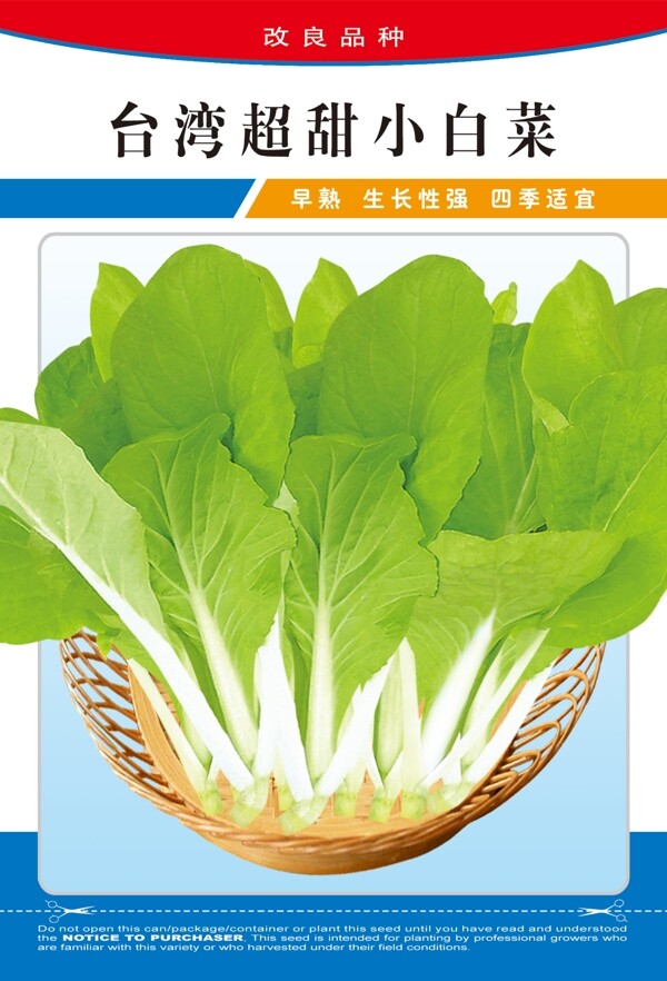 臺(tái)灣超甜小白菜