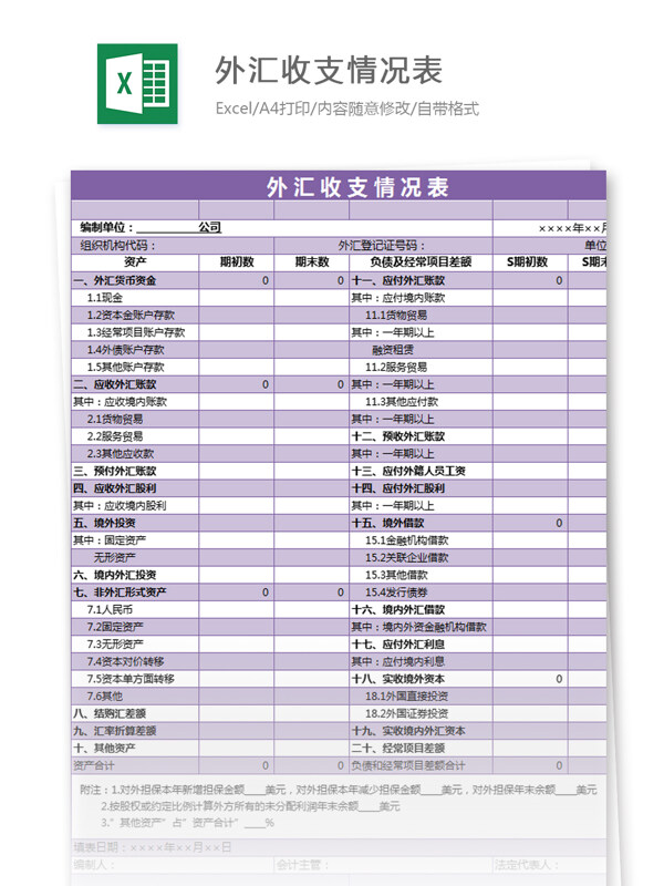 外汇收支情况表excel模板