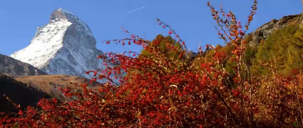 冰川远景红色树林美景高清实拍视频素材
