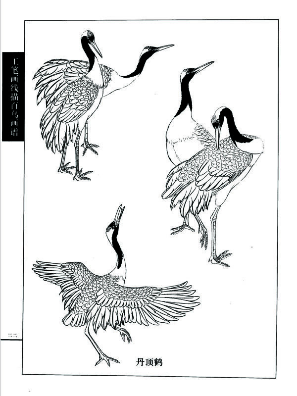 白描圖片