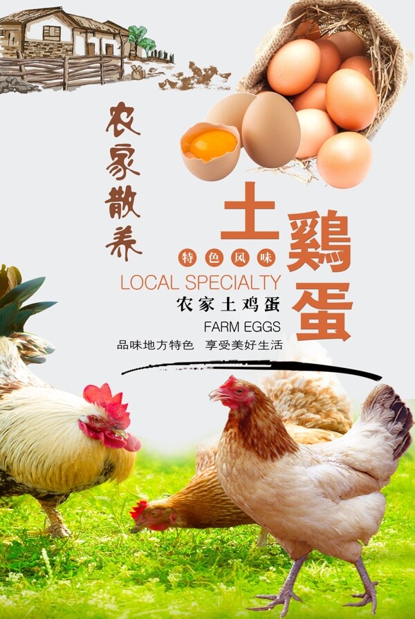 农家土鸡蛋海报