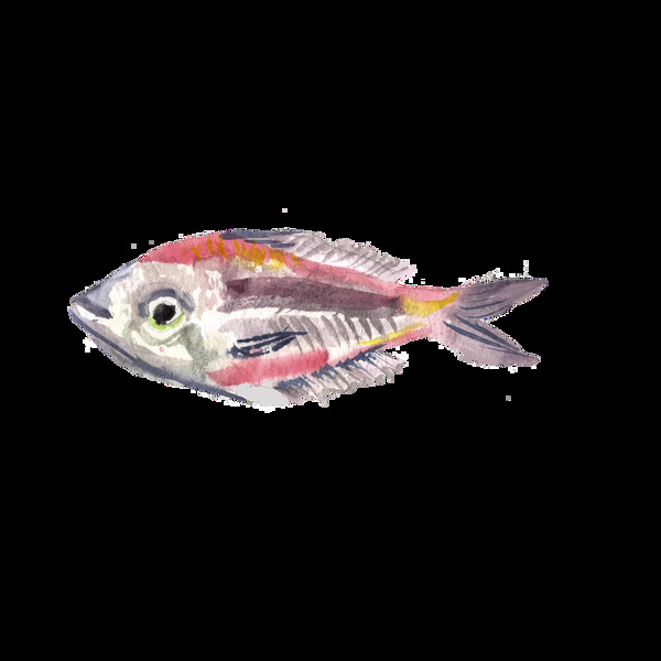 彩色水彩手繪魚透明素材