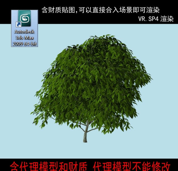 代理樹