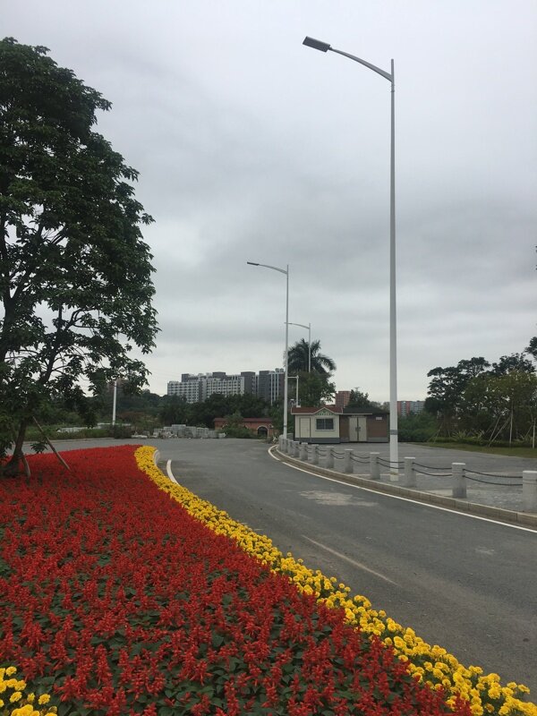 馬路