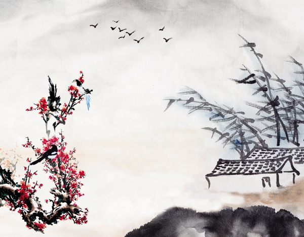 梅花圖片