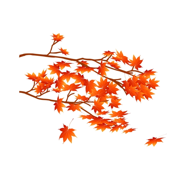 红色枫叶树枝设计元素