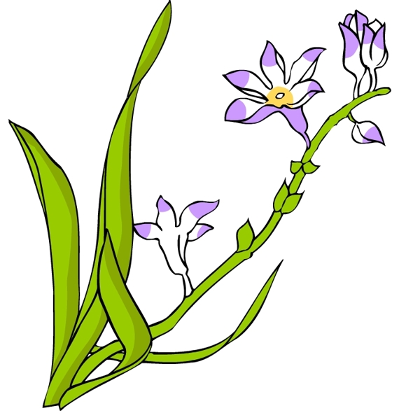 花卉古典插畫