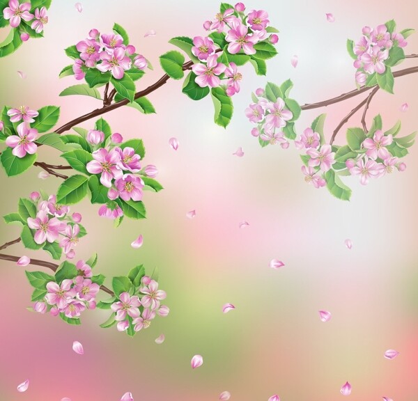 桃花圖片