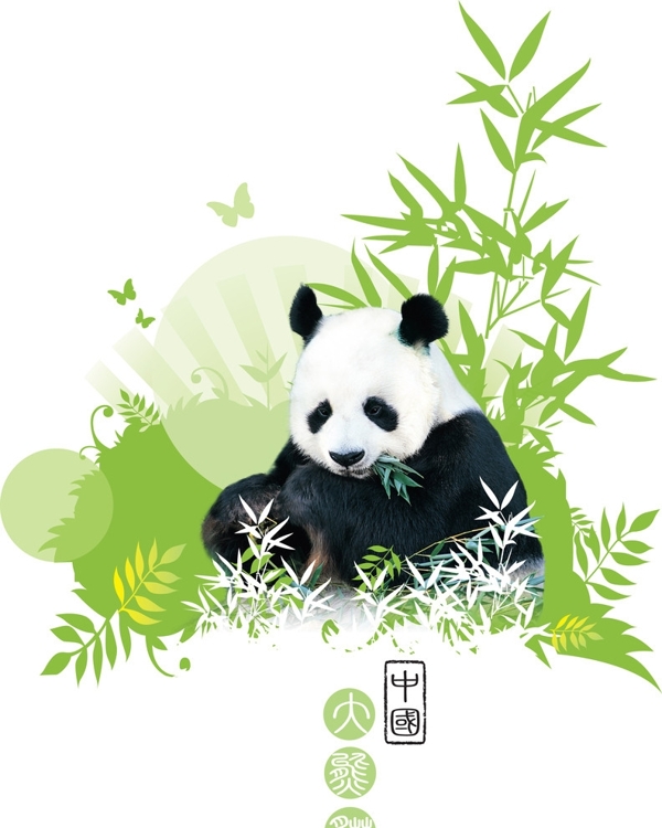 熊貓矢量圖片