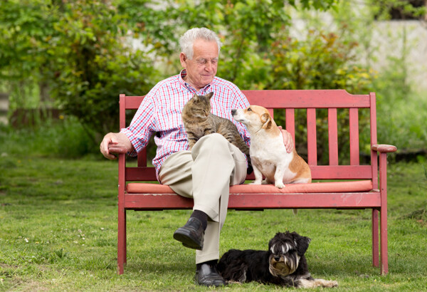 长椅上的老人与宠物图片