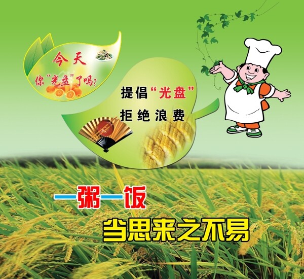 節(jié)約糧食