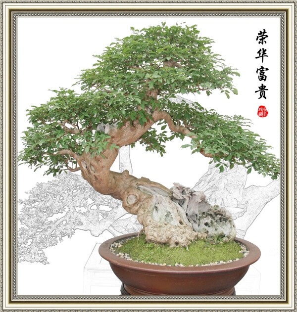 榮華富貴圖片