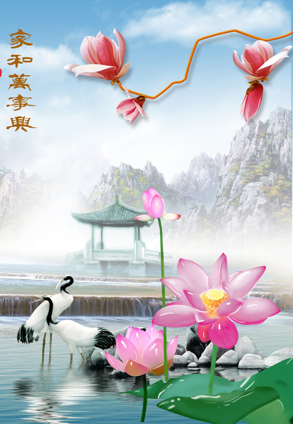 荷花
