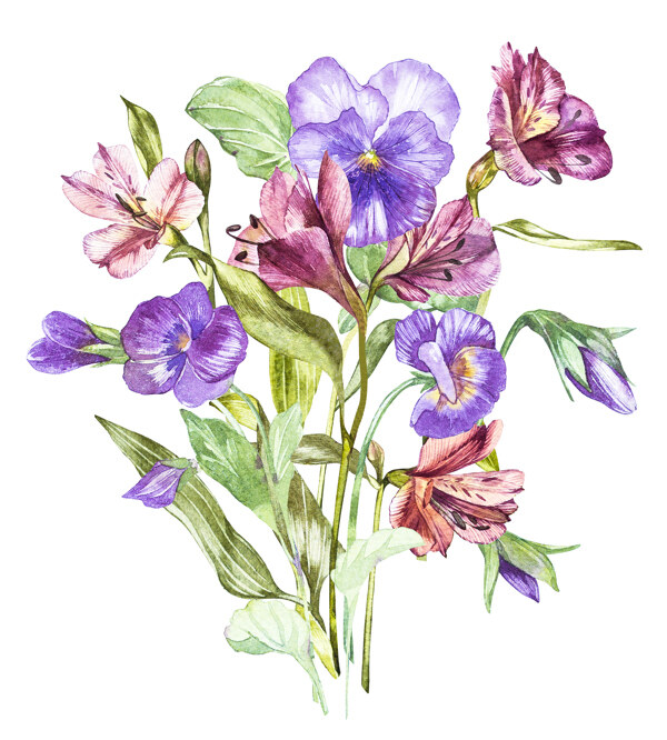 植物花朵绘画素材