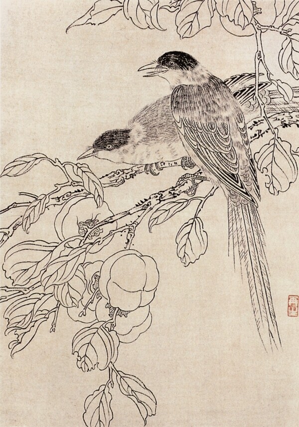 白描花鳥圖片