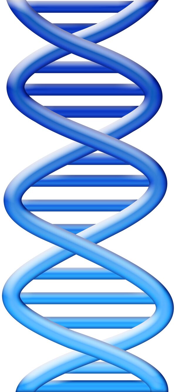 DNA结构图