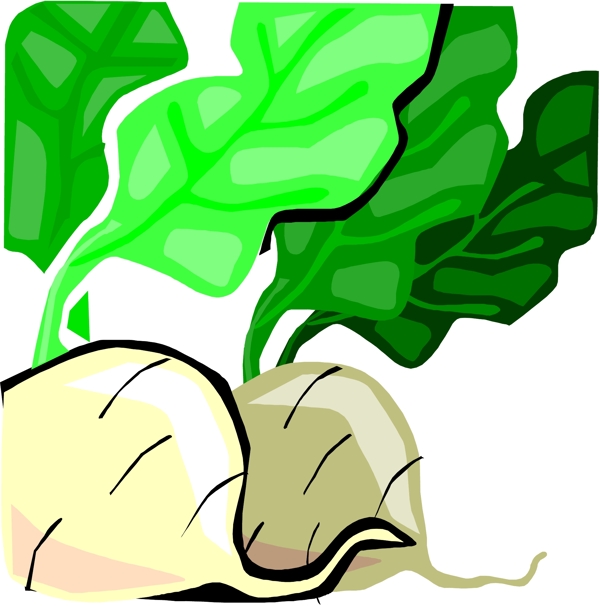 矢量蔬菜水果