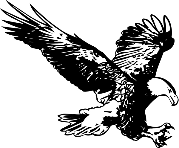 各種鳥類鳥動物矢量素材EPS格式0791