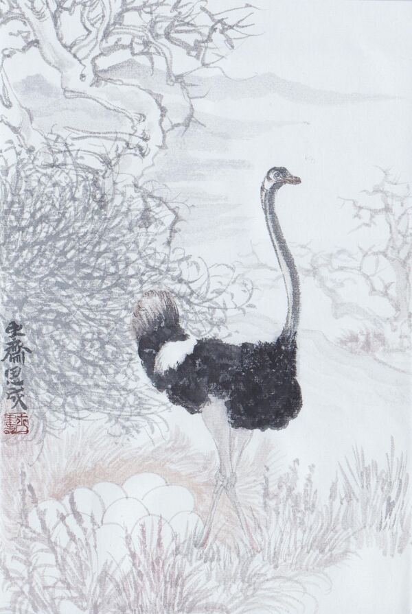 花鳥(niǎo)畫(huà)