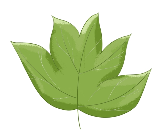 绿色叶子装饰插画