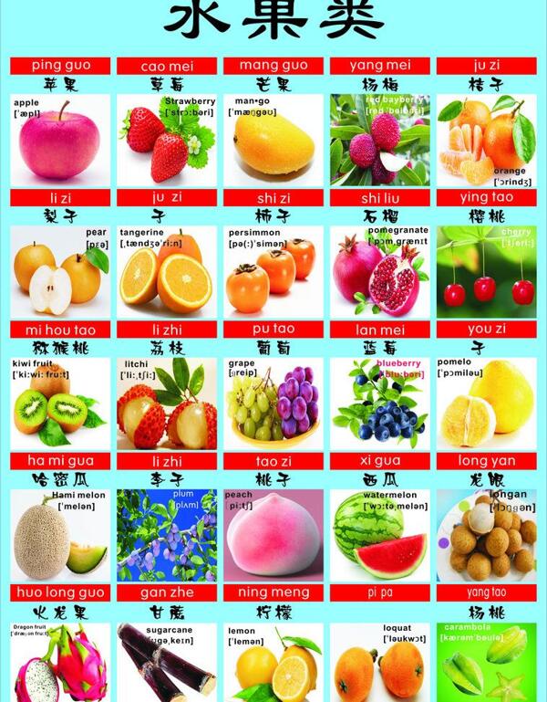 水果教育圖圖片
