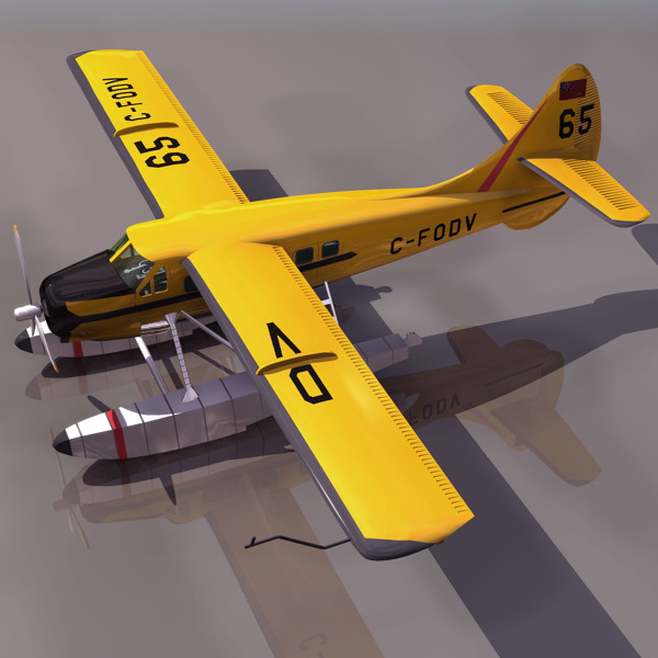 水獭飞机三维模型