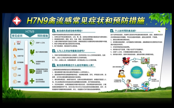 H7N9禽流感病毒图
