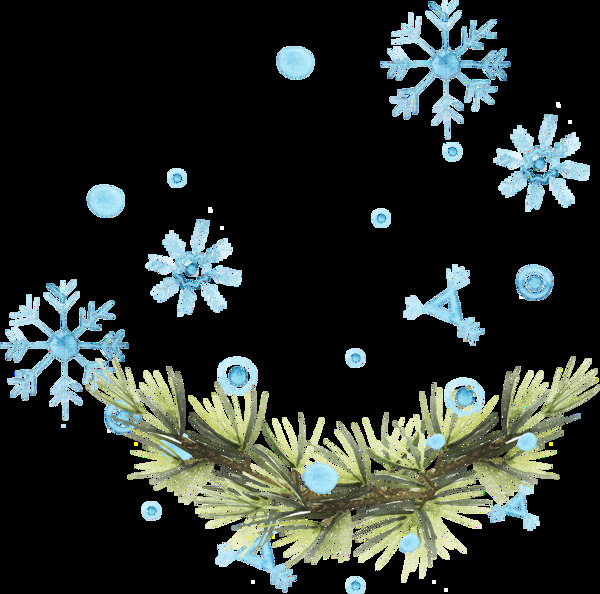 冬季雪花植物png透明素材