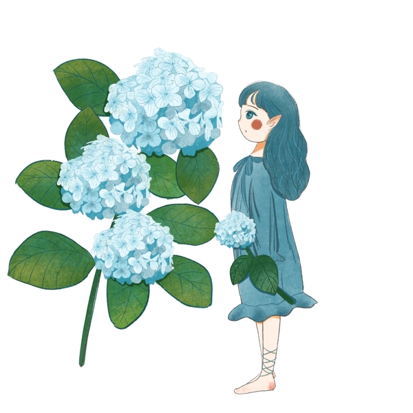 蓝色绣球花儿与美少女