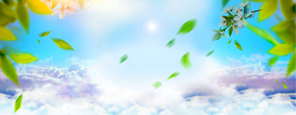 清新綠葉banner背景素材