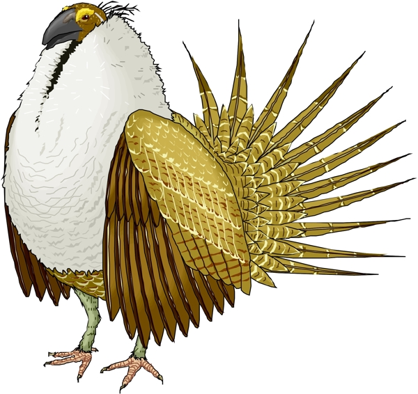 矢量逼真鳥類動物216
