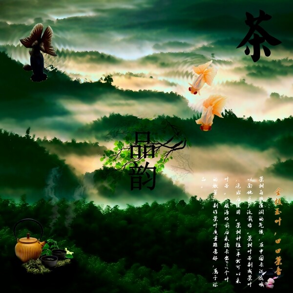 品韻圖片